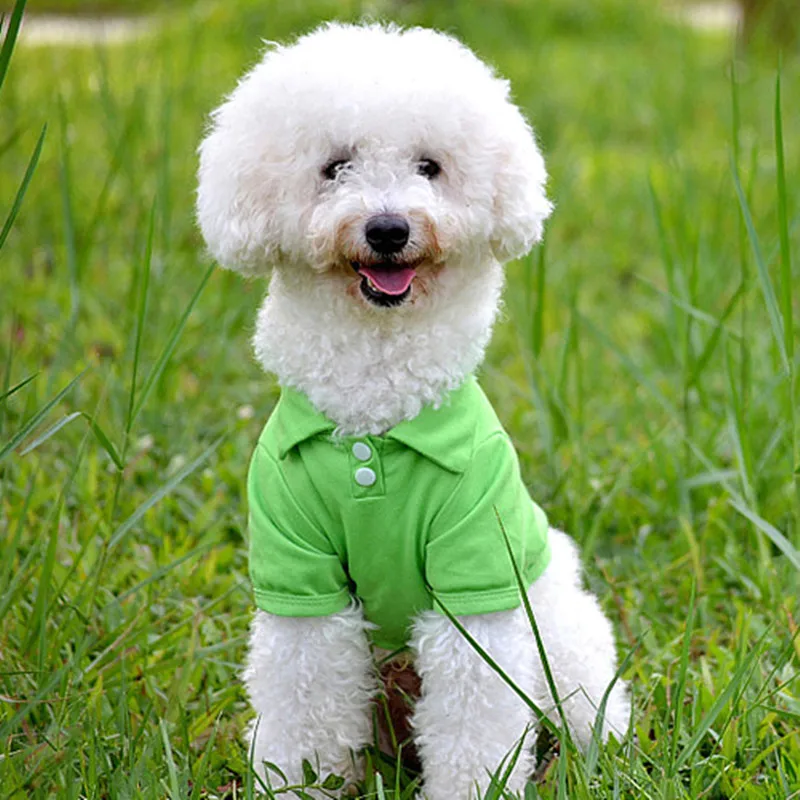 Small Dog Sweatshirt Pet Clothes Puppy Pullover Puppy Dog Cat Summer Solid Color Buttoned Shirt Pet Clothe Costume T-Shirt shirt