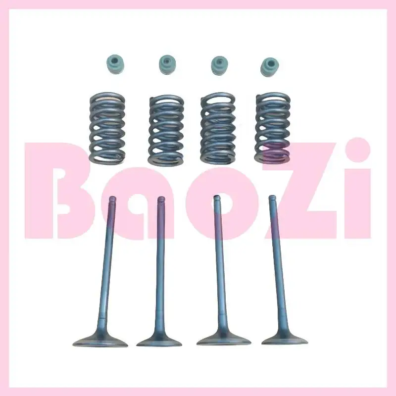 

Впускной/выпускной клапан двигателя/пружина/масляное уплотнение для Aprilia Gpr250r Apr250-r