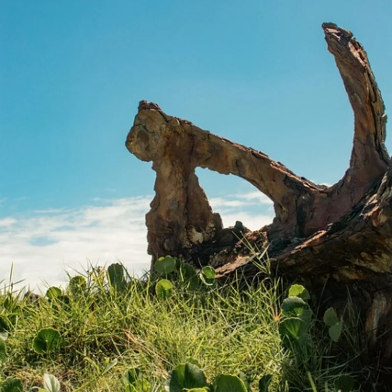 

Металлический сервопривод 284131 для WLtoys 284131 284010 284161, сменный аксессуар, детали для модификации модели радиоуправляемого автомобиля, сервопривод