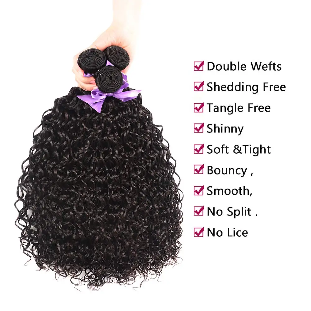 Malaysian Water Wave Bundles With Closure Wet and Wavy Curly Human Hair Bundles With Frontal Closure Remy Hair Weave Extensions