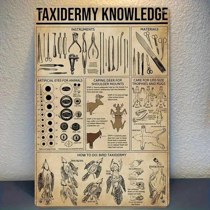 Plaque Métallique Vintage sur la Taxidermie – Décoration Murale Durable avec Détails sur l'Anatomie, la Conservation et la Technique de Montage