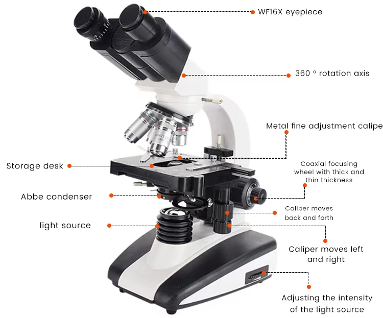 Microscope binoculaire numérique Seattle avec lumière LED, binoculaire, laboratoire et école