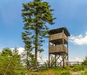 

2 In 1 3 Wavelength755/808/1064nm Hair Removal 3000w Strong Power Ice Diode Hair Removal Machine