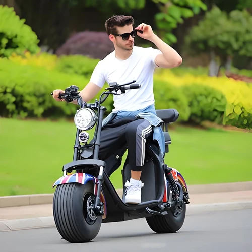 Imagen 2 del producto Conjunto de pinza de cilindro maestro de freno de disco hidráulico delantero/trasero con almohadilla para piezas de patinete eléctrico Harley China Citycoco