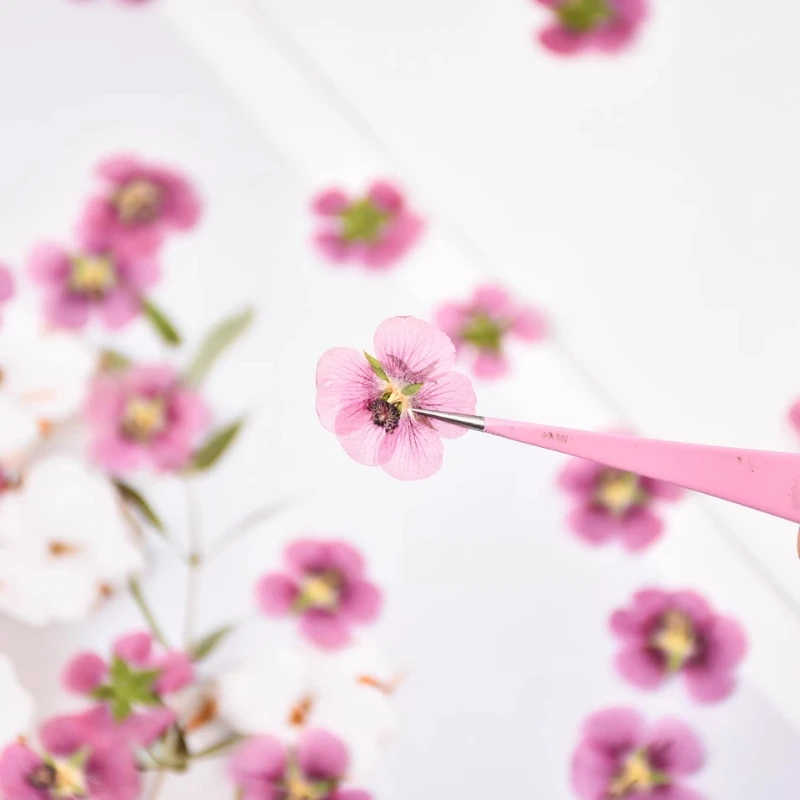 24 قطعة ، زهرة الكركديه الطبيعية زهرة جافة حقيقية تنقش DIY بها بنفسك الغراء الحرف اليدوية قضية المحمول ختم النبات زهرة إطار صور البتلة ماكياج