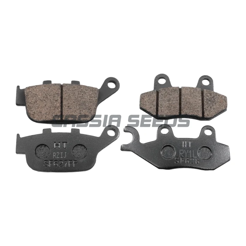 Motorcycle front and rear brake pads for Loncin Wuji 200AC/R LX200-18-19 brake pads