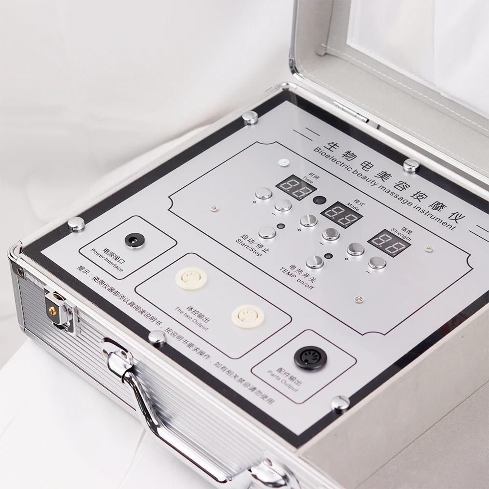 Bioelectric Electrotherapy Regulation Meridian Dredging Physiotherapy Whole Body Detoxification DDS Pulse Bioelectric Massager