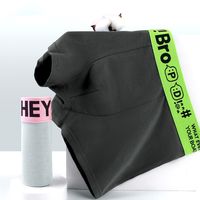 4PCS Letter Printed Men's Cotton Panties Thin Underpants Seamless Underwear for Men Briefs Mid Waist Male Shorts Boxer Gifts