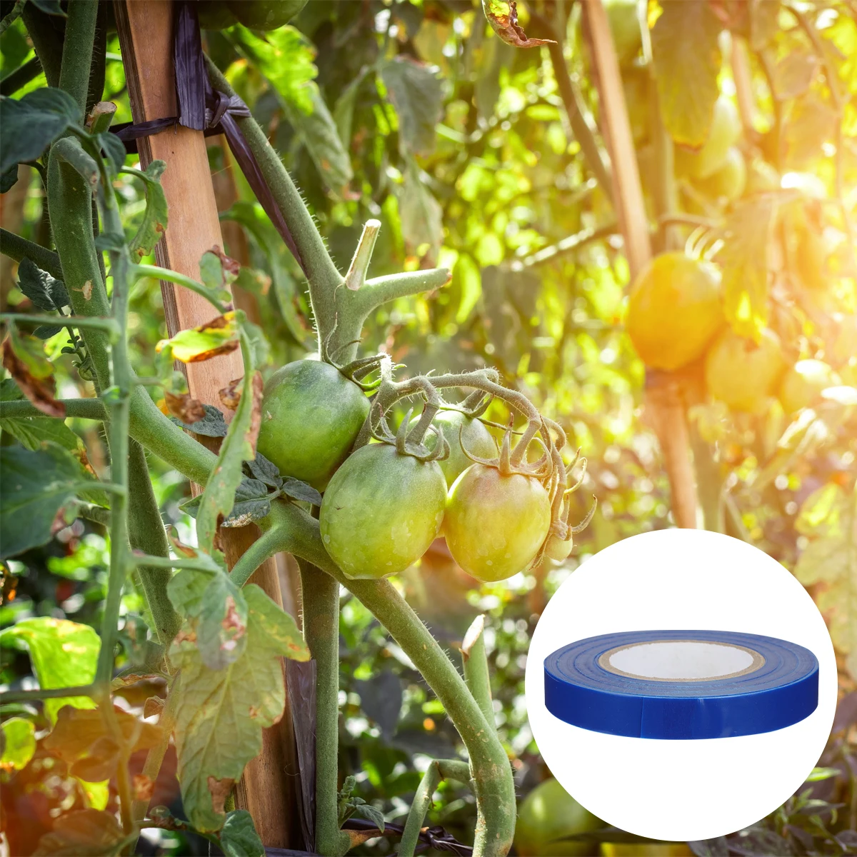 

10 Rolls Lapper Tape Garden Plant Tie Planting Adhesive Vine Tying Adjustable Ribbon Pvc Gardening Reusable Tomato