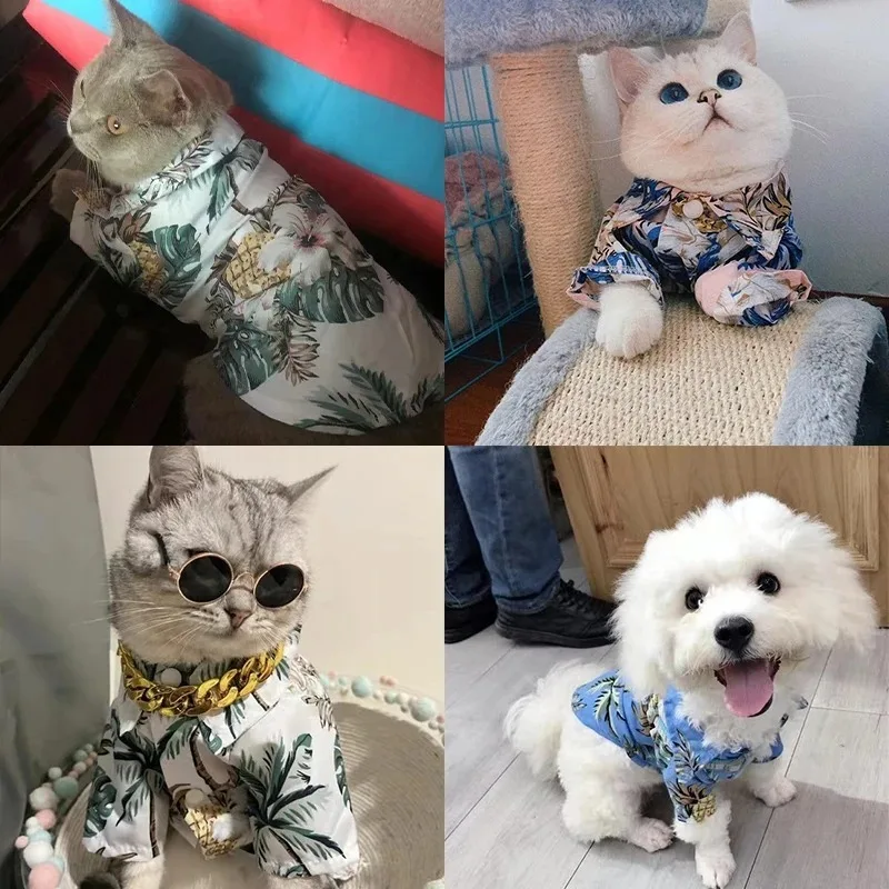 pet apparel