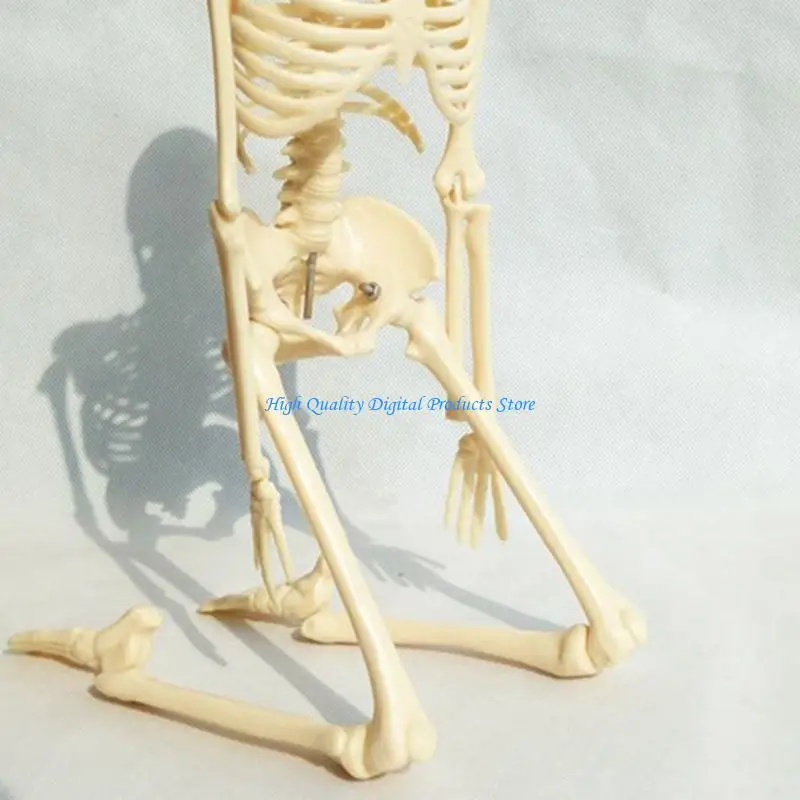 U2JEメディリミニヒューマンスケルトンモデル学習教育用ディスプレイツールギフト