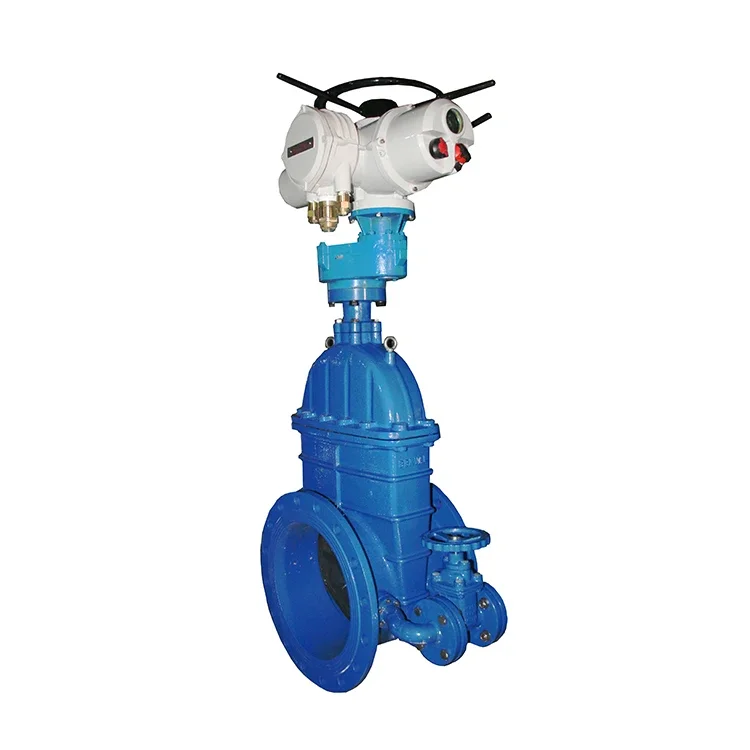 Z945X-16Q Z941X-16Q EPDM Ductile Iron Operated Gate Valve With Bypass