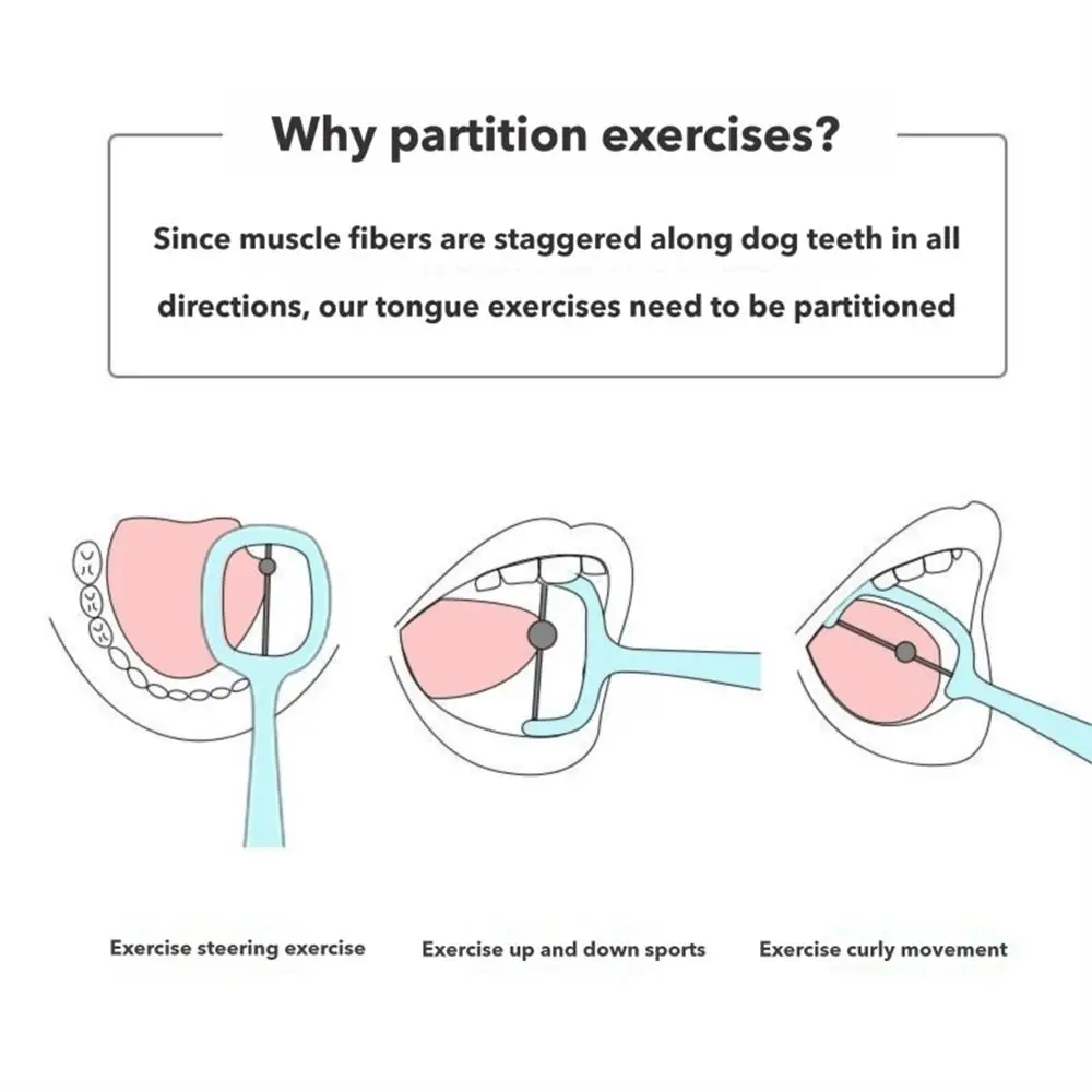 Mouth Exercise Oral Muscle Trainer Tongue Tip Exercise Flexibility Therapy Talk Tool Stability Lateralization Elevation