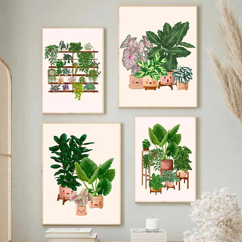 Boutique Cactus plante Monster - Live Plant Fertilizer avis et prix
