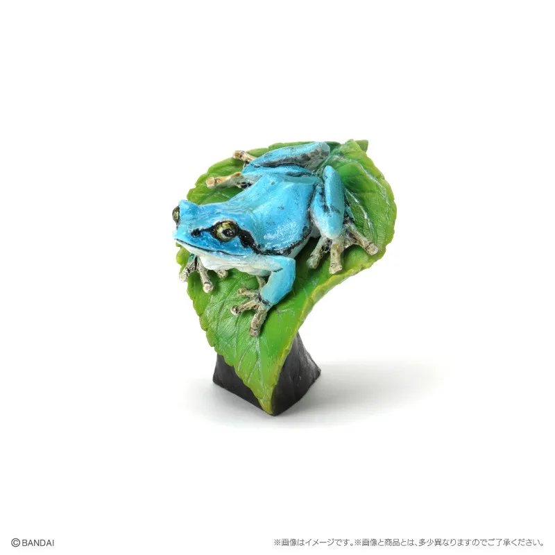 Bandai Original Gashapon Biological Atlas Batrachians Tree Frog Giant Salamander Action Figure Toys for Boys Girls Kids Gift