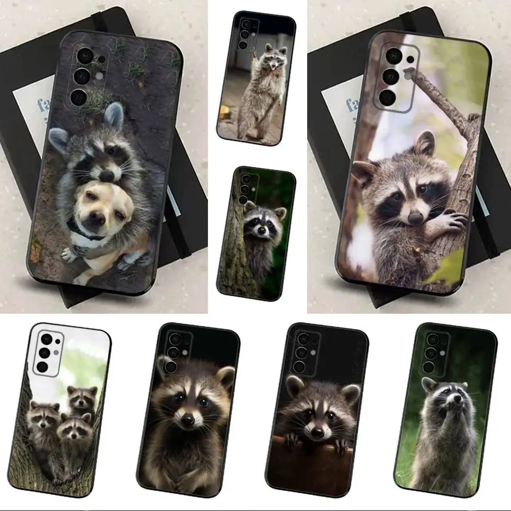 

Cute R-Raccoon For Samsung Galaxy A53,31,52,72,41,Note,J7,8,9,5G,22,73,32,71, Soft Black Silicone Case