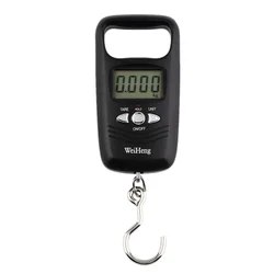 50kg/10g Weight Mini Hanging Scale Pocket LCD Digital High-accuracy Luggage Scale Portable Weighting Fishing Hook Scale