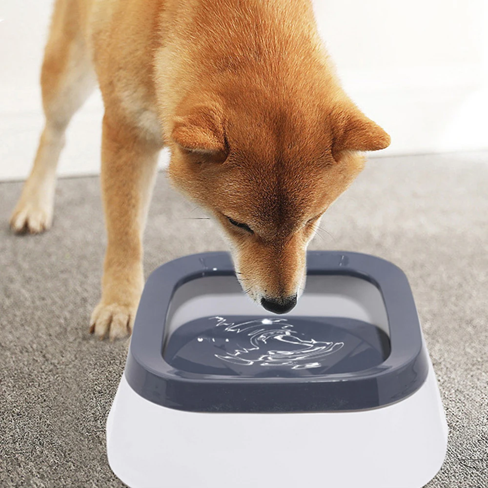 Thumbnail 4 - #22 Pet Bowls List of Top Picks