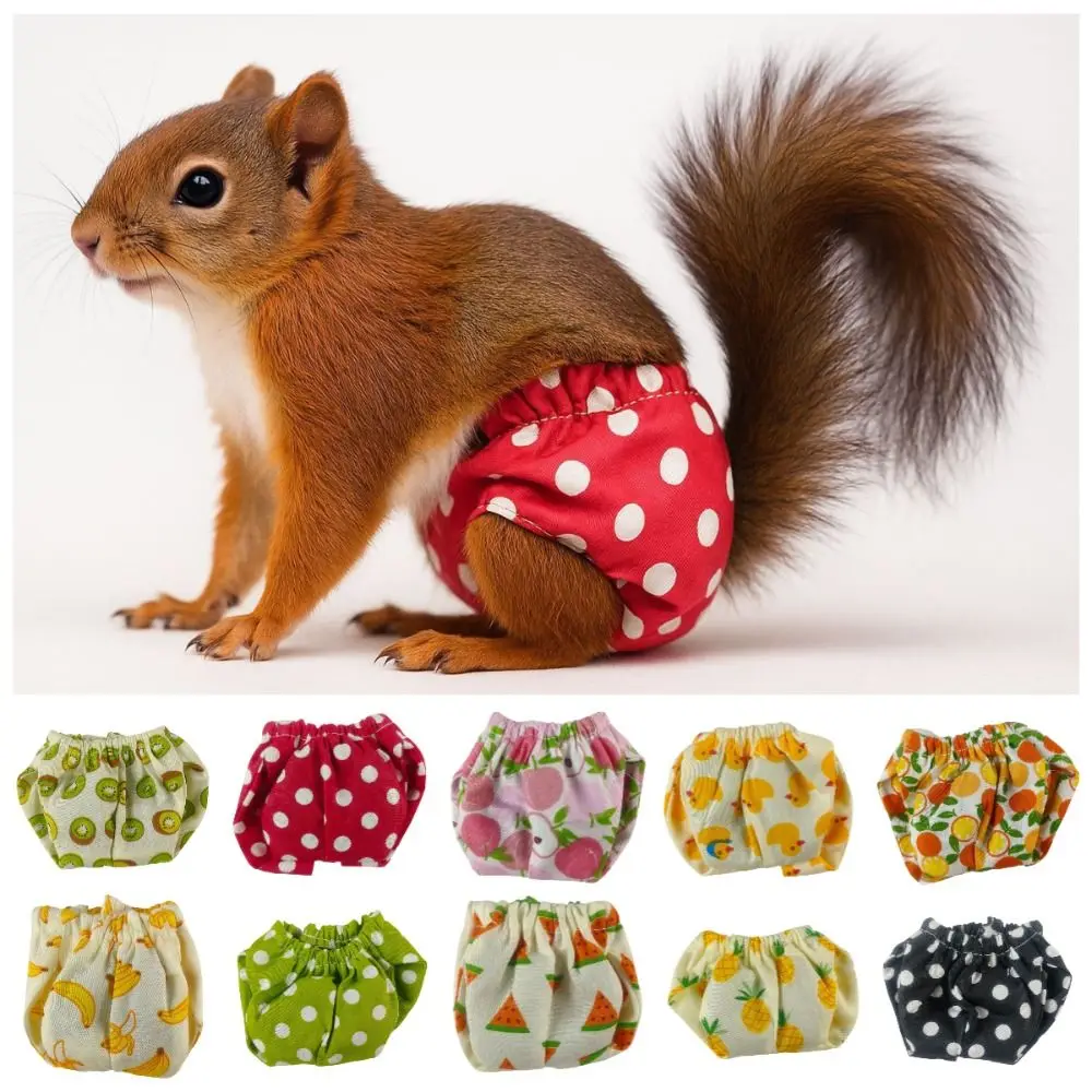 Absorbent Squirrel Diapers Adjustable Breathable Pet Training Pants Comfortable Washable Squirrel Underwear