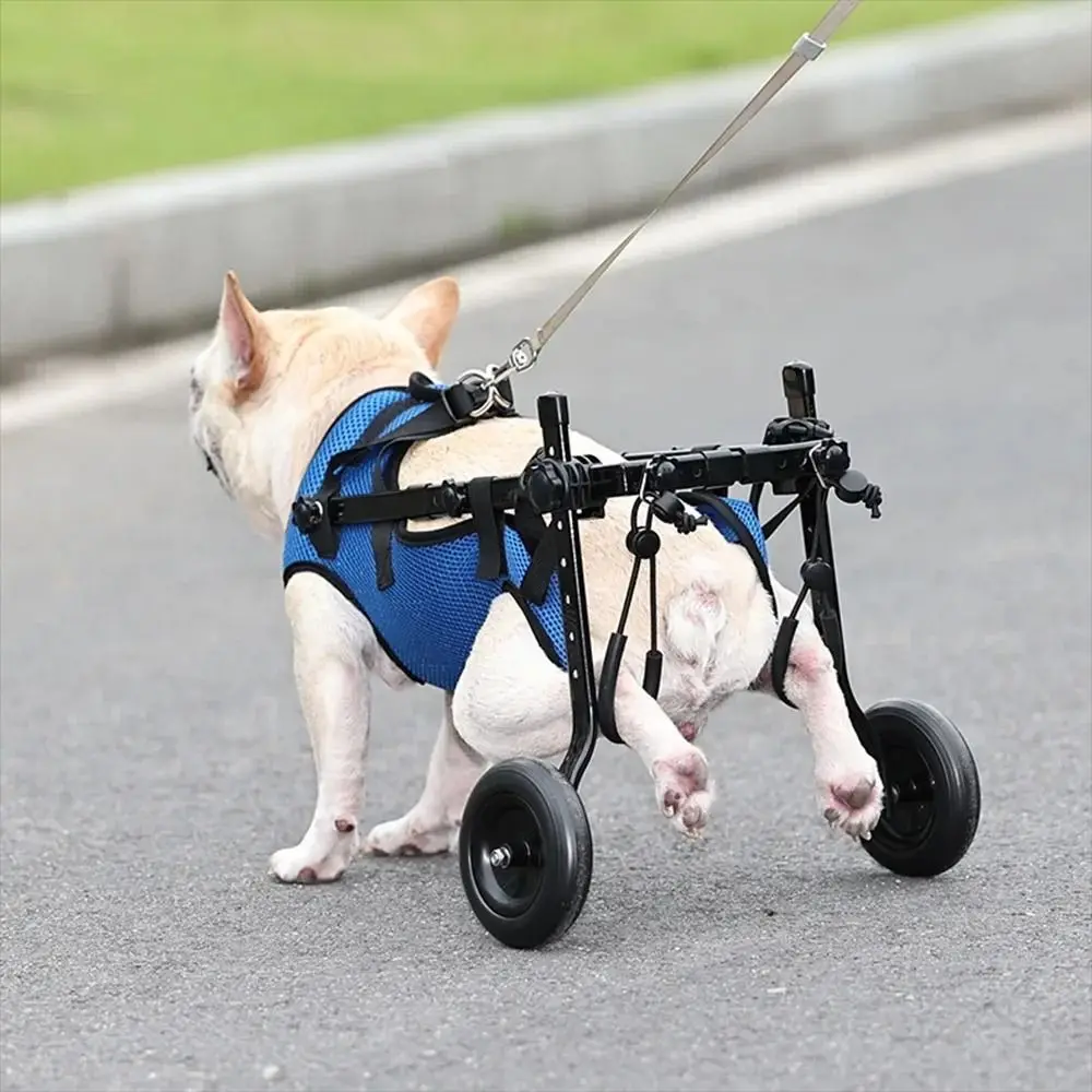 Imagem -03 - Luz Ajustável Pet Walking Wheels Booster Cat Recovery Aid Car Blue Pet Walk Tool Carrinho de Cadeira de Rodas