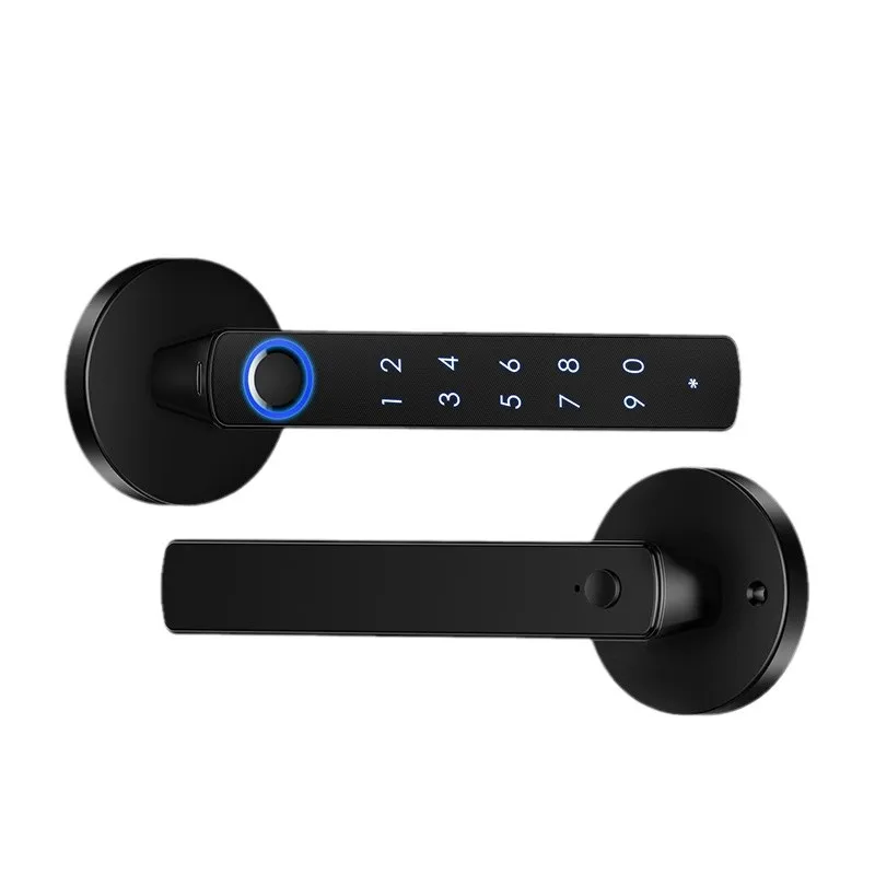 Smart Fingerprint Handle Lock Graffiti Bluetooth Indoor Handle TTLOCK Wooden Door Electronic Pass Lock
