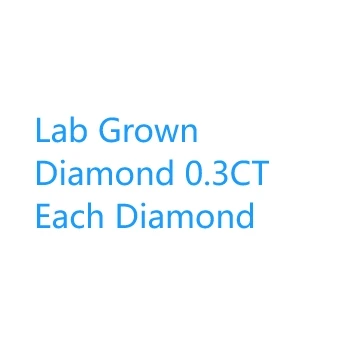 NONE Ovale Form, 0,15 CT pro CVD HPHT Lab Grown Diamond DEF VS-VVS Ewigkeits-Bandring, Platin-950-Diamant-Ehering für Damen 4