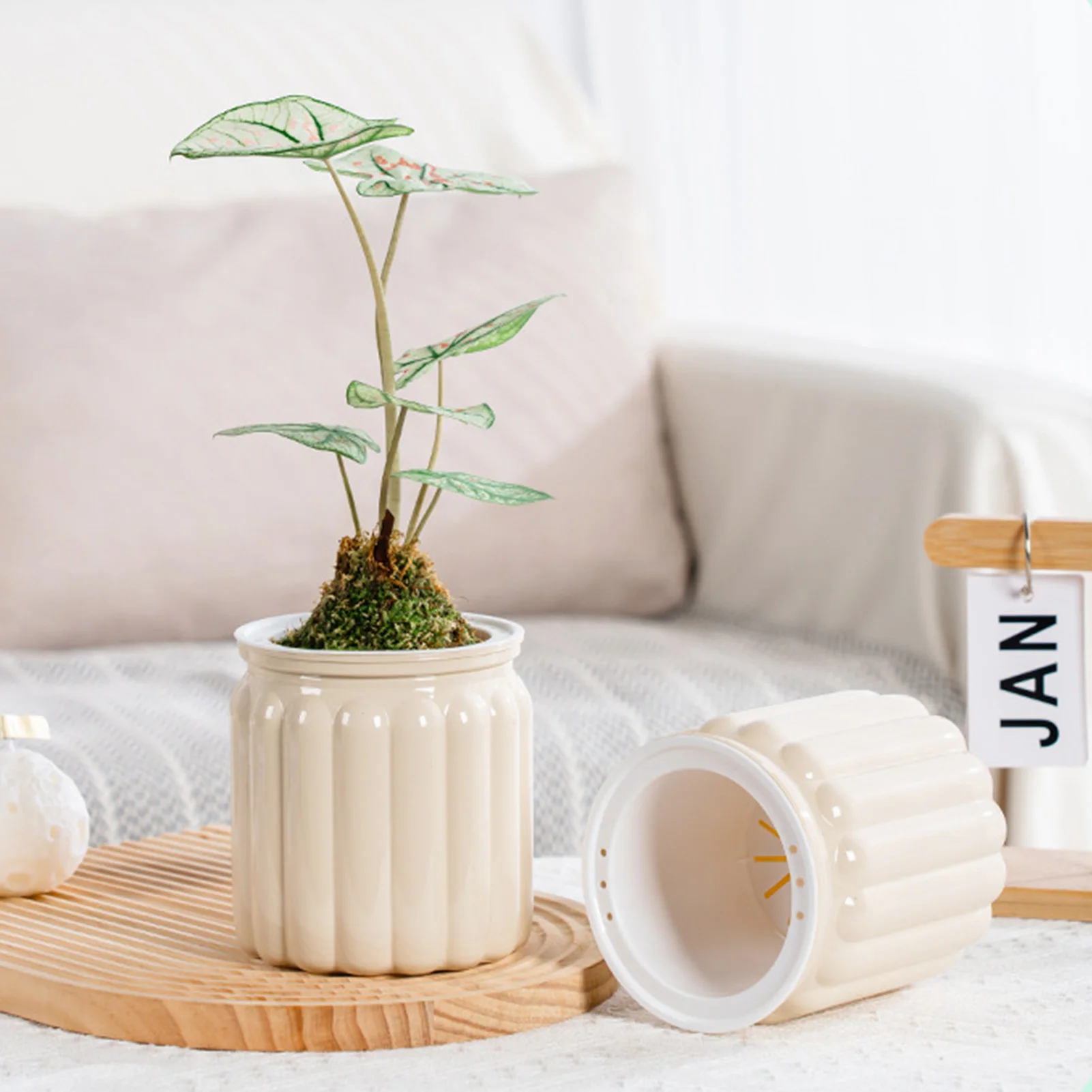Elegant Modern Self Watering Planter 5