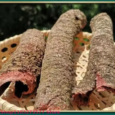 Top naturalny kadzidło z kory Myrica Rubra do medytacji Wicca oczyszczającej uzdrowienie