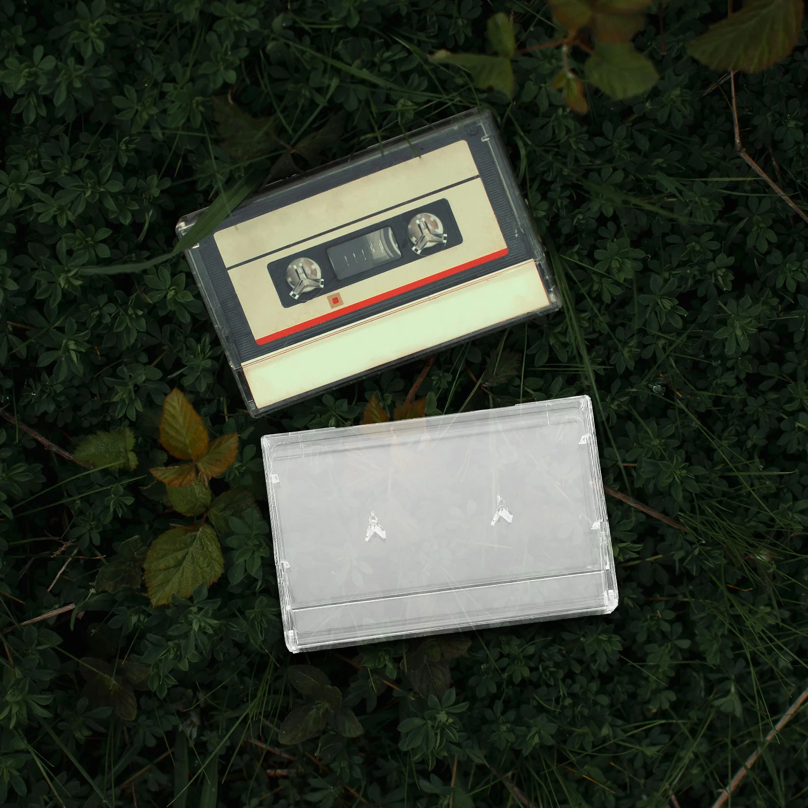 

2pcs Clear Plastic Cassettes Boxes Transparent Tape Storage For Audio Cassettes Dustproof Organizer Collection Holder Case Music