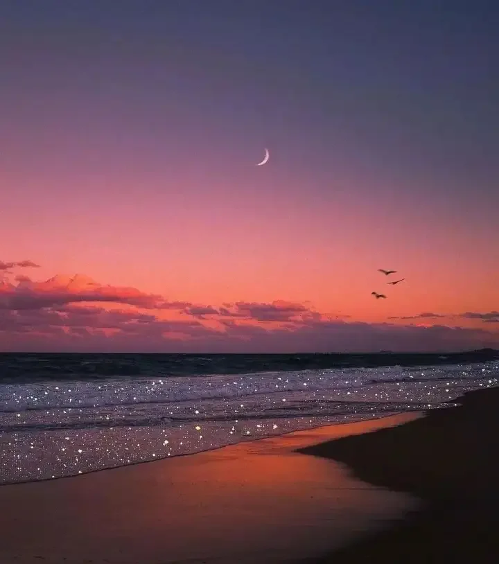 

D 13-дюймовый автомобильный мультимедиа для Toyota Tundra 2007 ~ 2013 Carplay GPS-навигация Android автомобильные аксессуары радио стереоприемник