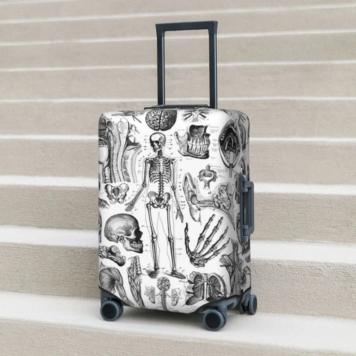 

Human Anatomy White Print Suitcase Cover Protection Elastic Trip Luggage Protector Covers for 18-32 Inch