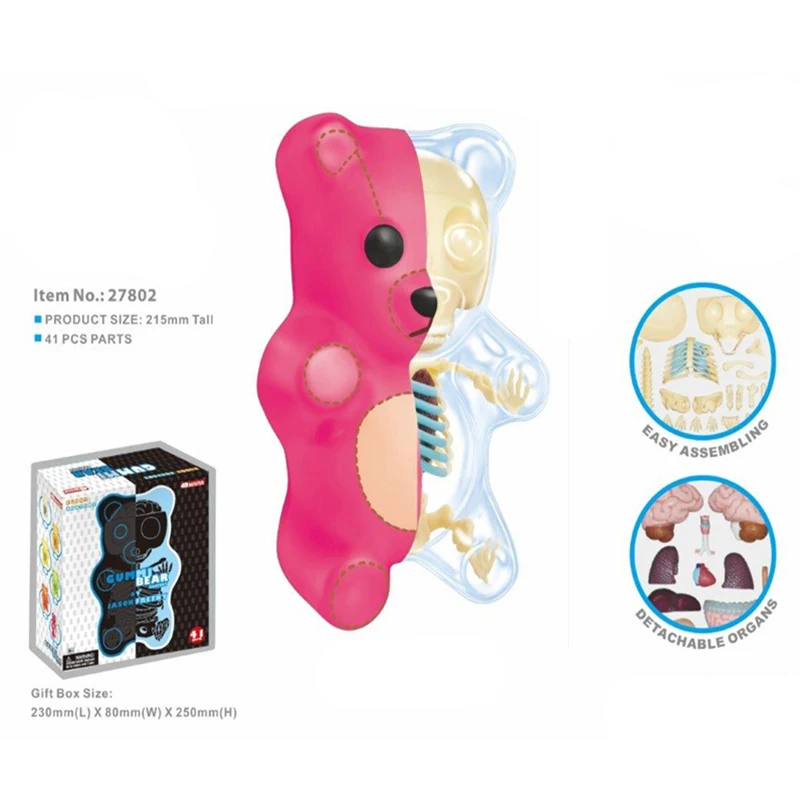 4D Mestre Bebê Gummi Urso Esqueleto Anatomia Modelo Kit, Limpar Pano Ossos Pretos, Ornamentos de Desktop Bonito, Presente Brinquedos para Crianças