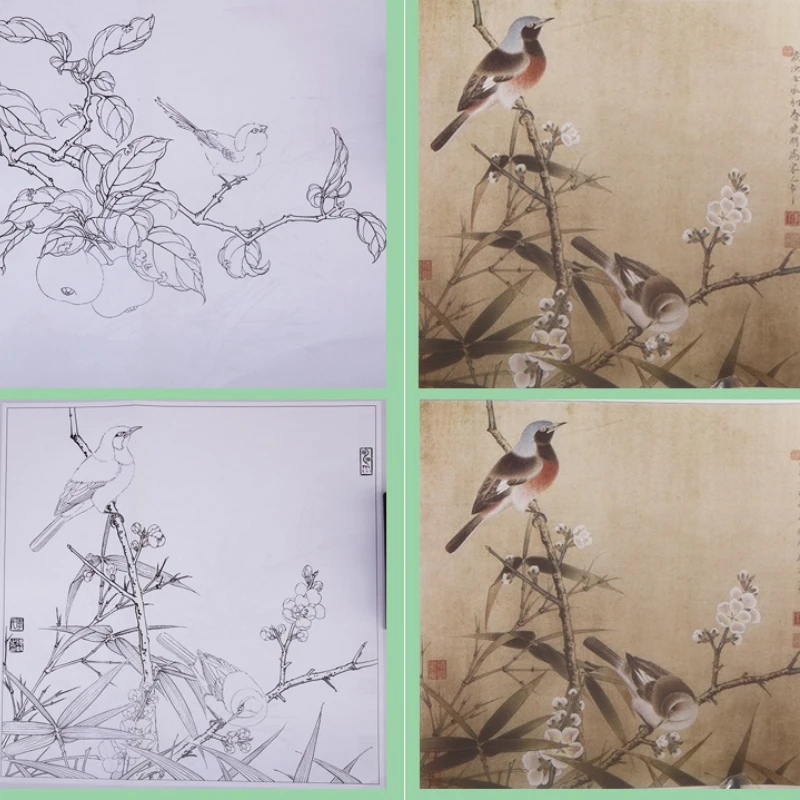 Bird Flower Practical Line Drawing Book Traditional Chinese Painting Hand-painted Coloring Copying Book Picture Enlarged Version