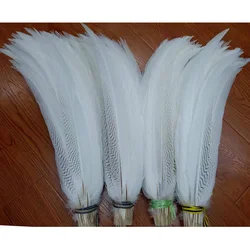 Wholesale Silver Pheasant Feathers Natural Long White Chicken Feather for Crafts Clothes Carnival Decor Wedding Party Decoration