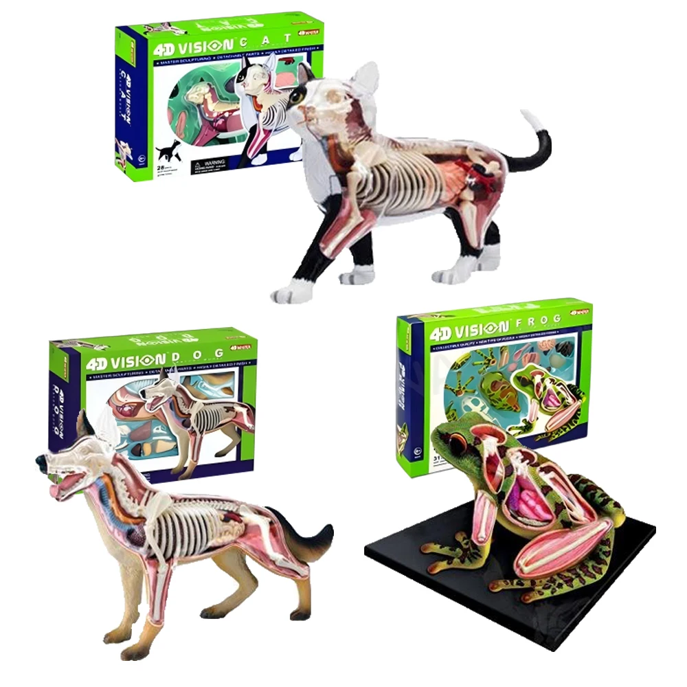 

4D MASTER Animal Dissection Assembly Model Teaching Props for Cat Dog Pig Cow Clear Anatomical Labeling Easy To Identify Organs
