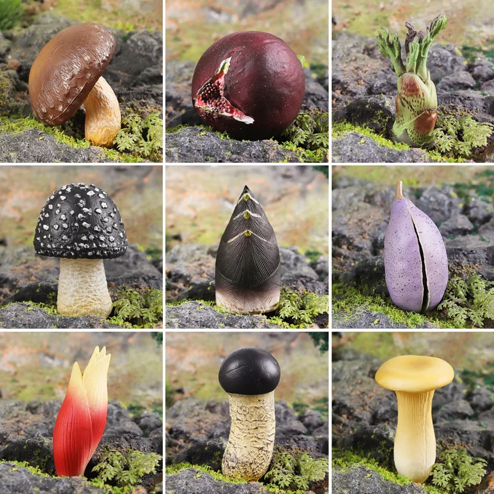 New Simulation Mushroom Fungus Matsutake Figurines Fairy Garden Model Vegetable Early Education Teaching Toy Home Decor Ornament