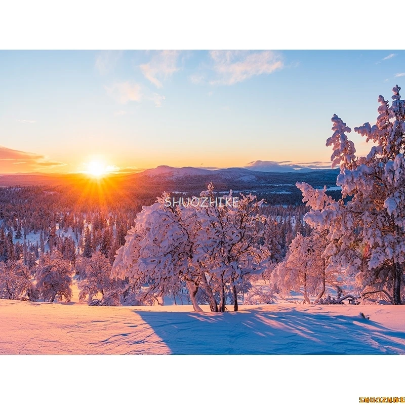 قطرات خلفية للتصوير الفوتوغرافي للغابات الشتوية ، طريق مغطى بالثلوج ، ندف الثلج ، أشجار التنوب ، خلفية الصورة ،