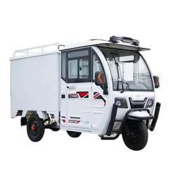 moto car three wheel dump truck tricycle electric adult electro-tricycle small mini cheap