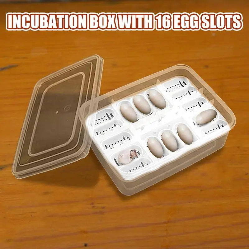 Pets Incubation Box DIY 16 Grids Hatch Box Snake Lizard Hatching Box Egg Tray Crawler Lizard Leopard Gecko Reptile Accessories