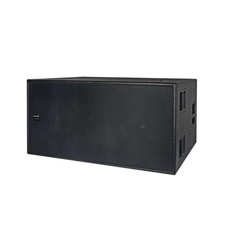 Thinuna T-215B-DWP Large Concert Outdoor Sound Professional 15-inch Subwoofer Heavy Bass Bar Stage Active Waterproof Woofer