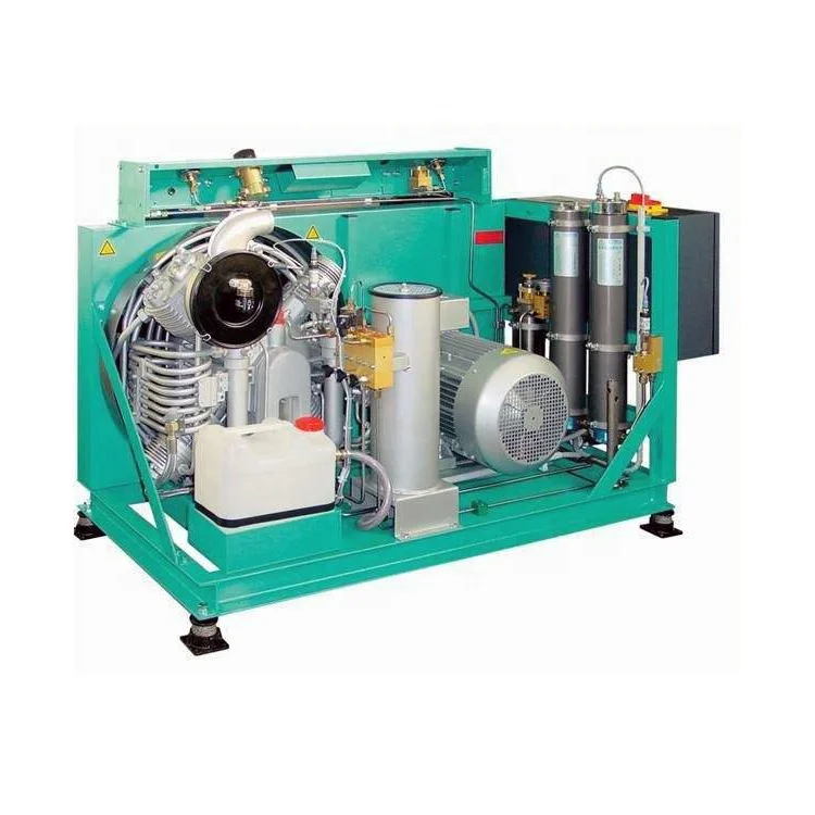 FOR High Quality Electric Screw Compressor Factory Price Cng Compressor Natural