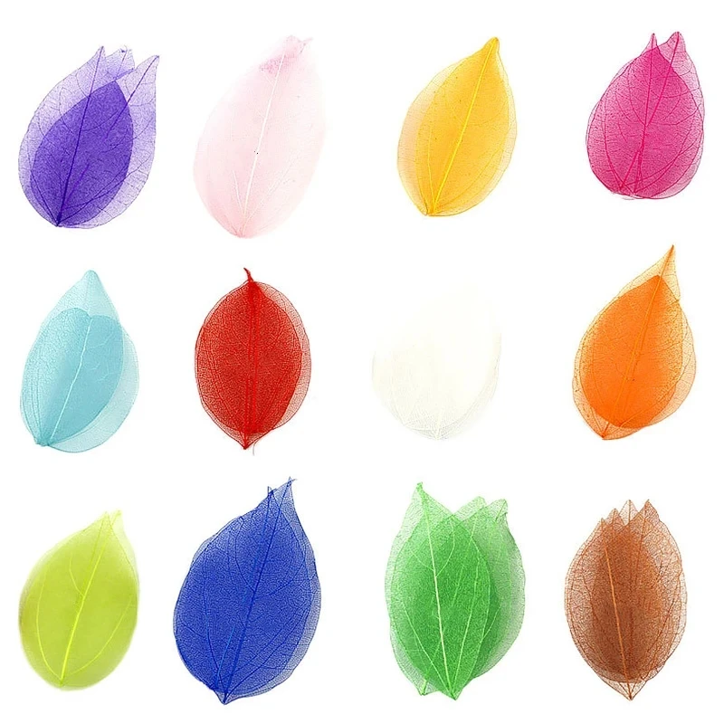 100Pcs Dried Flower…