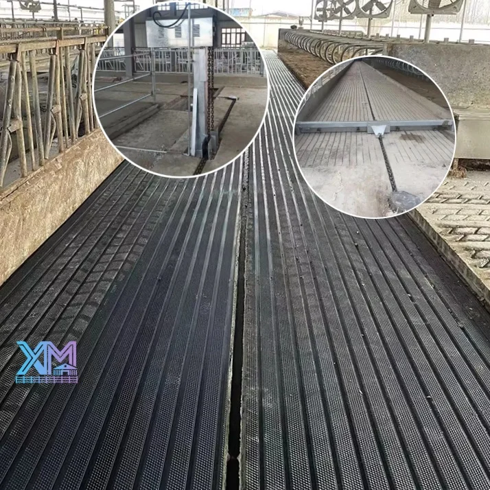 Automatic Manure Scraper System for Dairy Farm Cattle Barn Floor Manure