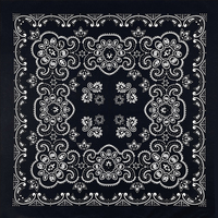 68CM Oversized Hip Hop Amoeba Cashew Cotton Square Bandana Scarf Headband Black Paisley Gifts For Men/Boys/Girls