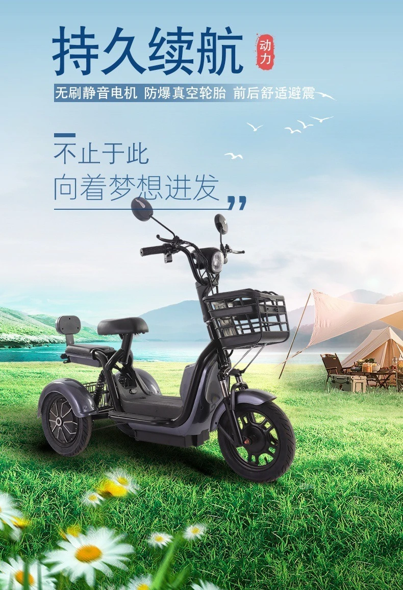 600W small mini transportation leisure electric tricycle with a battery life of 40 kilometers and 12 mAh