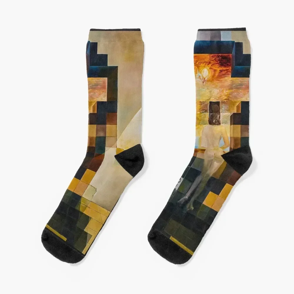 

Lincoln in Dalivision Socks Novelties Rugby Stockings man Running Socks Female Men's