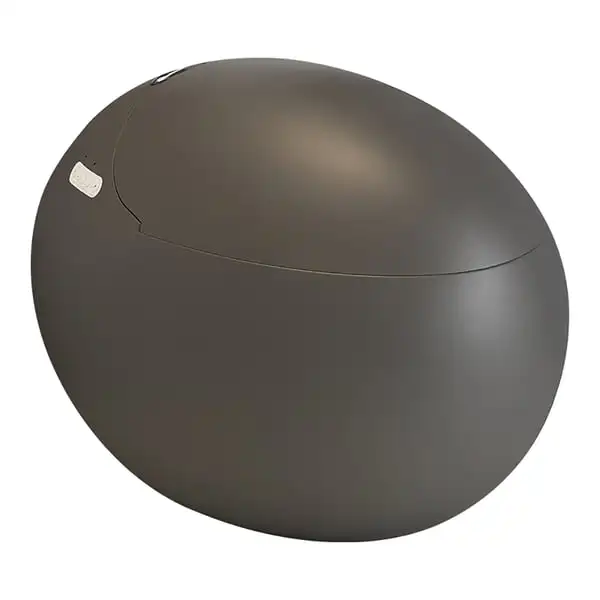 

Автоматический умный унитаз в форме яйца, матовый серый, с милым дизайном, 1.28GPF, с пультом дистанционного управления