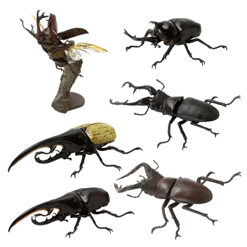 Ornament Twisted Egg Insect Mini Beetle Unicorus Dynastes Simulation Animal Model Collection Desktop Ornament FIGURE TOYS