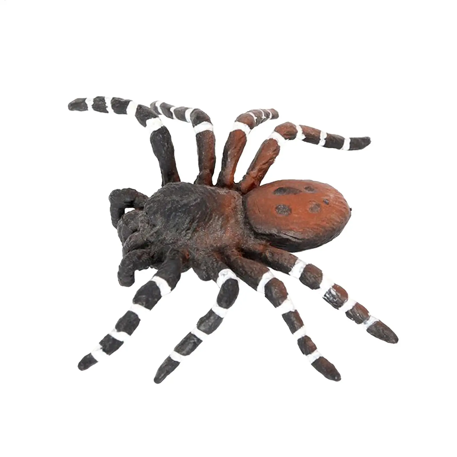 Realistic Spider Figure Toy ABS Plastic Halloween Scary Insect Model Garden Decoration Kids Educational Party Favor Supply