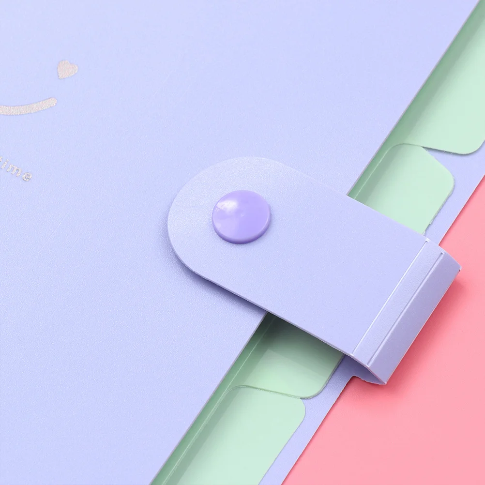 

2Pcs A4 Multi-Layer File Folders Lightweight Plastic for Organizing Documents Save Time in Searching Purple Pink 1 Each